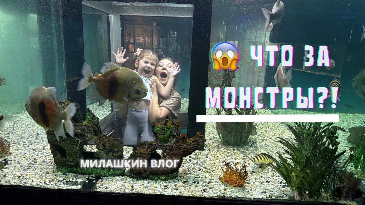Мы оказались ВНУТРИ аквариума с рыбами! 😱 Финал Паттайи