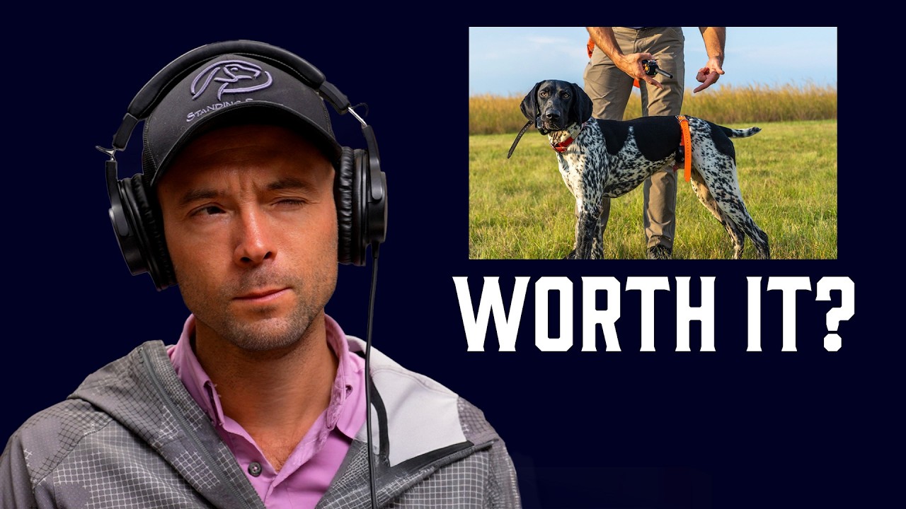 215. Answering YOUR Questions on Puppies, E-Collars, and Recall | Standing Stone Q&A