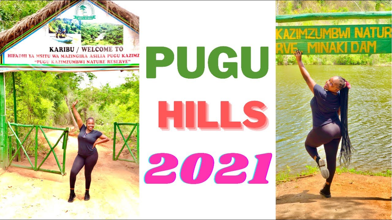 PUGU HILL FOREST RESERVE IN TANZANIA  #africa #africatravelvlog #tanzania #tanzanianyoutuber #tamil