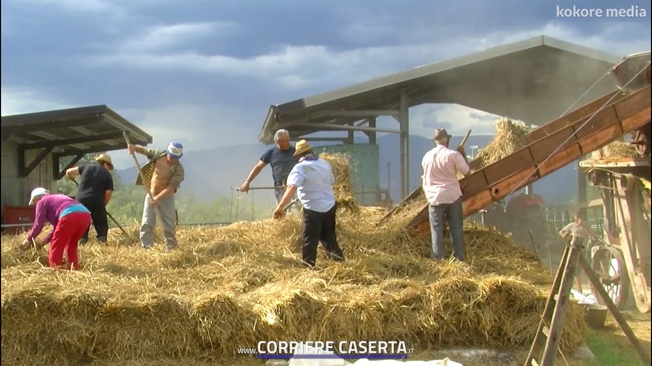 Alvignano - Festa della Trebbiatura 2016