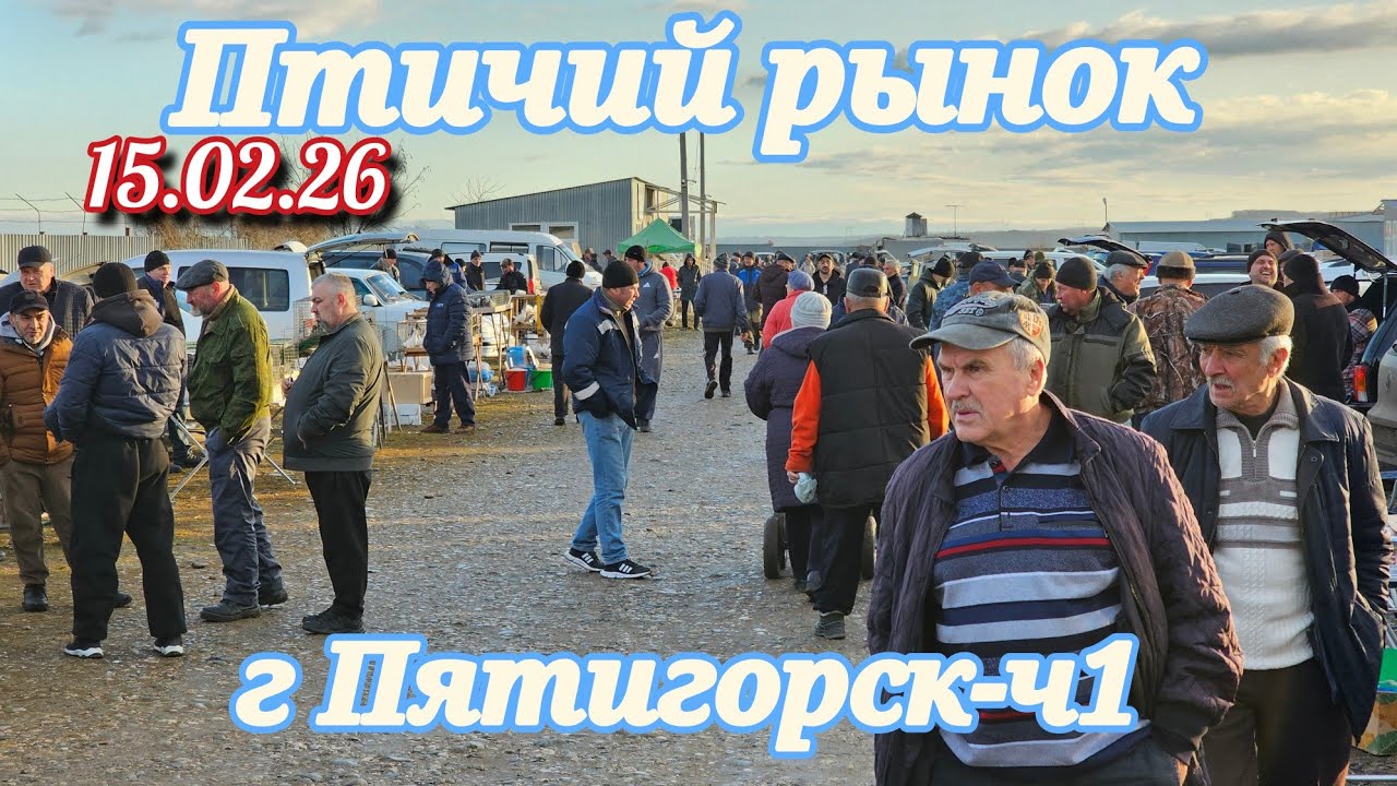 Голуби цены Птичий рынок г Пятигорск -ч1