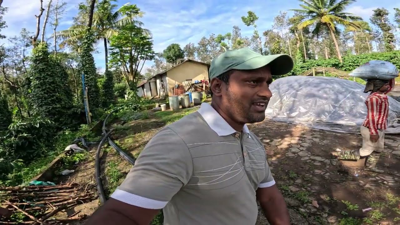 HOW TO INSTALL J JET IRRIGATION SYSTEM FOR BLACK PEPPER |ARECANUT| APPLYING FERTILIZER BLACK PEPPER