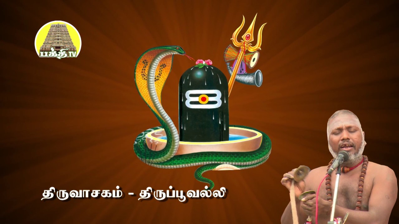திருவாசகம் - திருப்பூவல்லி  | Thiruvasagam  - Thirupoovalli | சிவ தாமோதரன் ஐயா