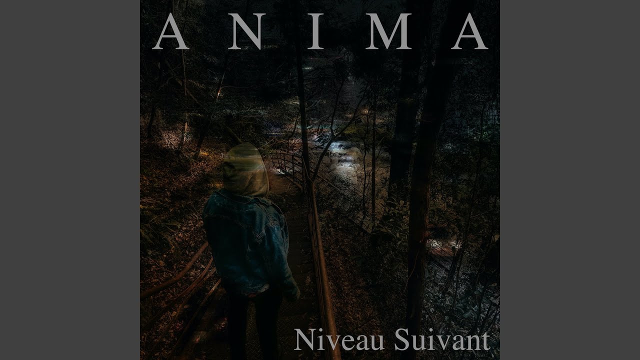 Niveau Suivant