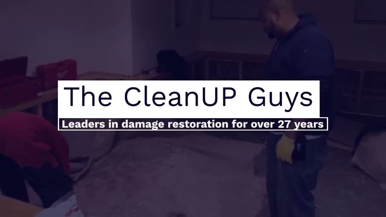 Your Trusted Partner for Flood Damage Restoration in Chicago | The CleanUP Guys | 773-885-8528