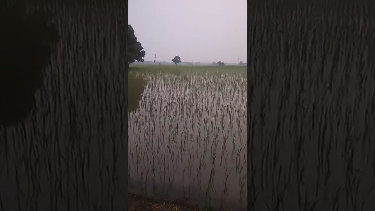 दो बातें जो सालो से कीमीया में फेल है जी उन के लिऐ