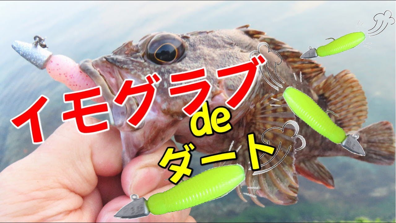 イモッシュ：イモグラブのダート・ワインド釣法でアコウ（キジハタ）やガシラを釣る動画。根魚爆釣の新ロックフィッシュ釣法とは？
