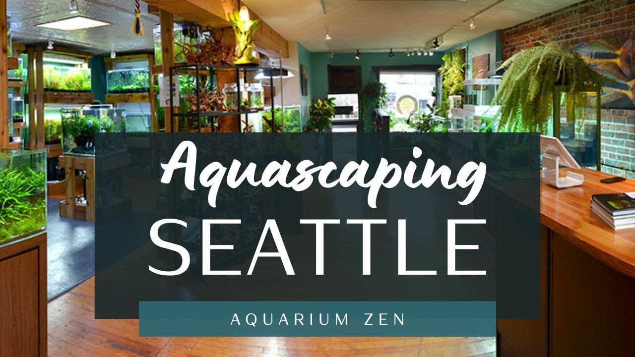 The BEST Aquascaping Store in SEATTLE!