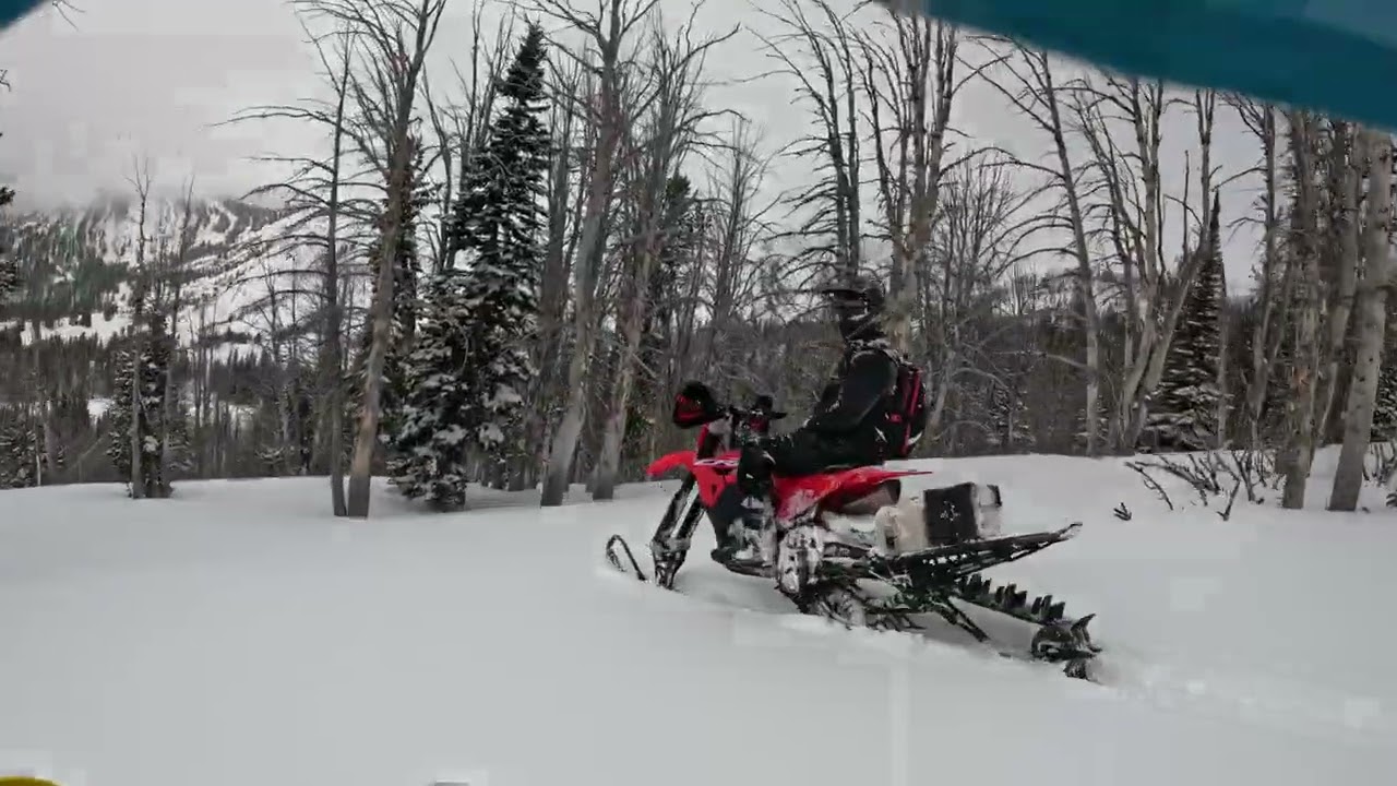 Finally Some Fresh Snow