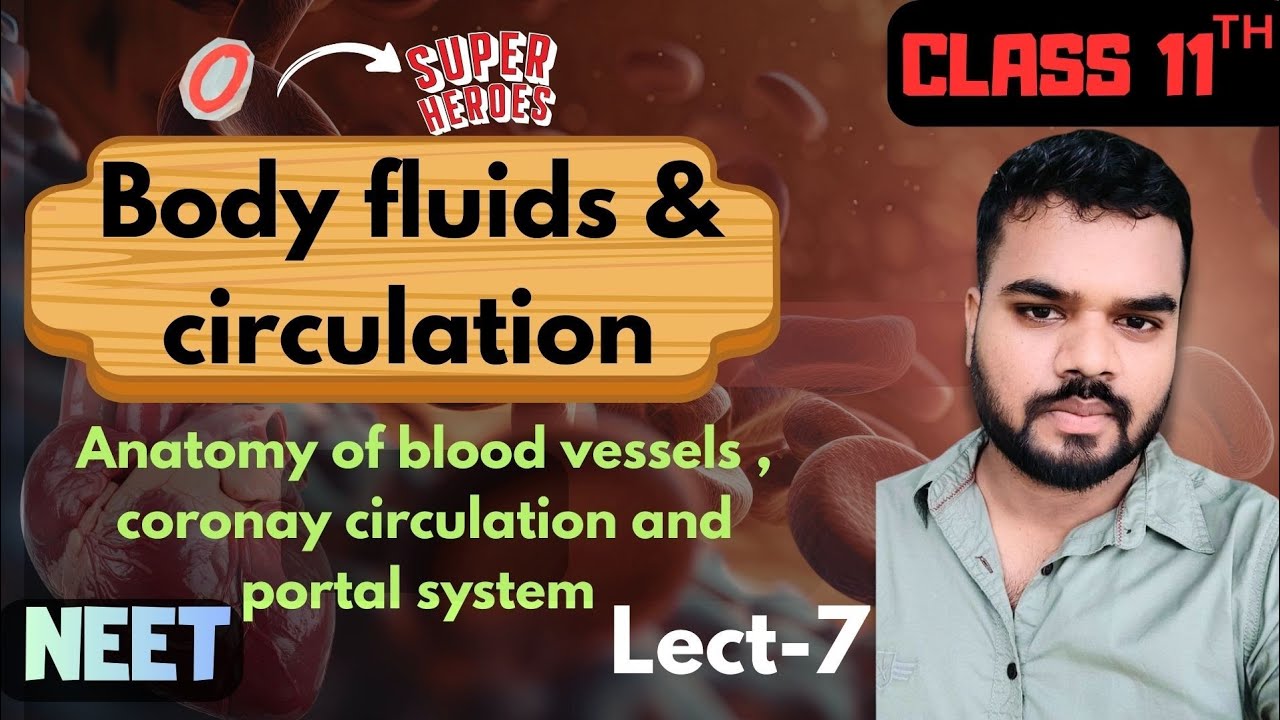 Body fluid and circulation { lecture 07}..Class11//NEET... NCERT Biology.#neet2026 #bodilyfluid 