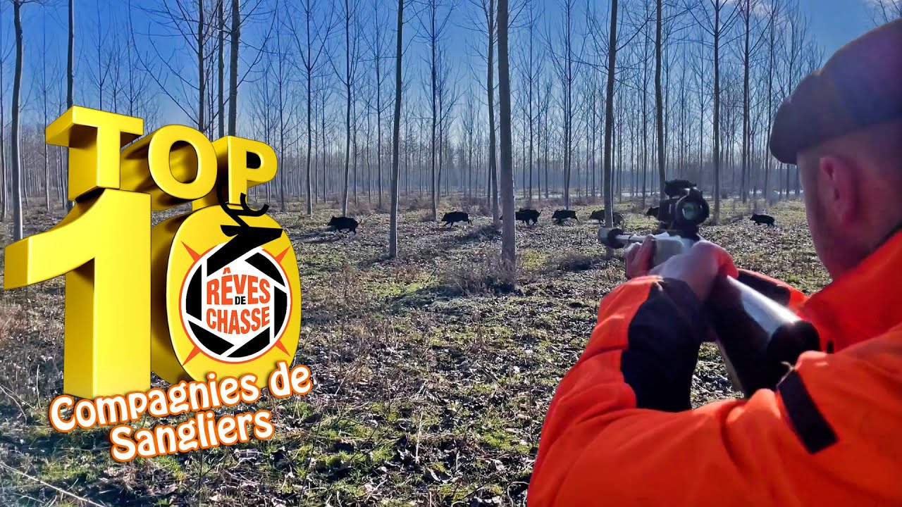 Top 10 Rêves De Chasse n°26 - Décembre 2024 - Edition spéciale "Compagnies de sangliers en battue"