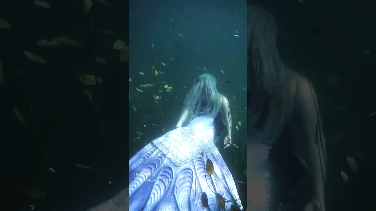 Mermaid in seaweed