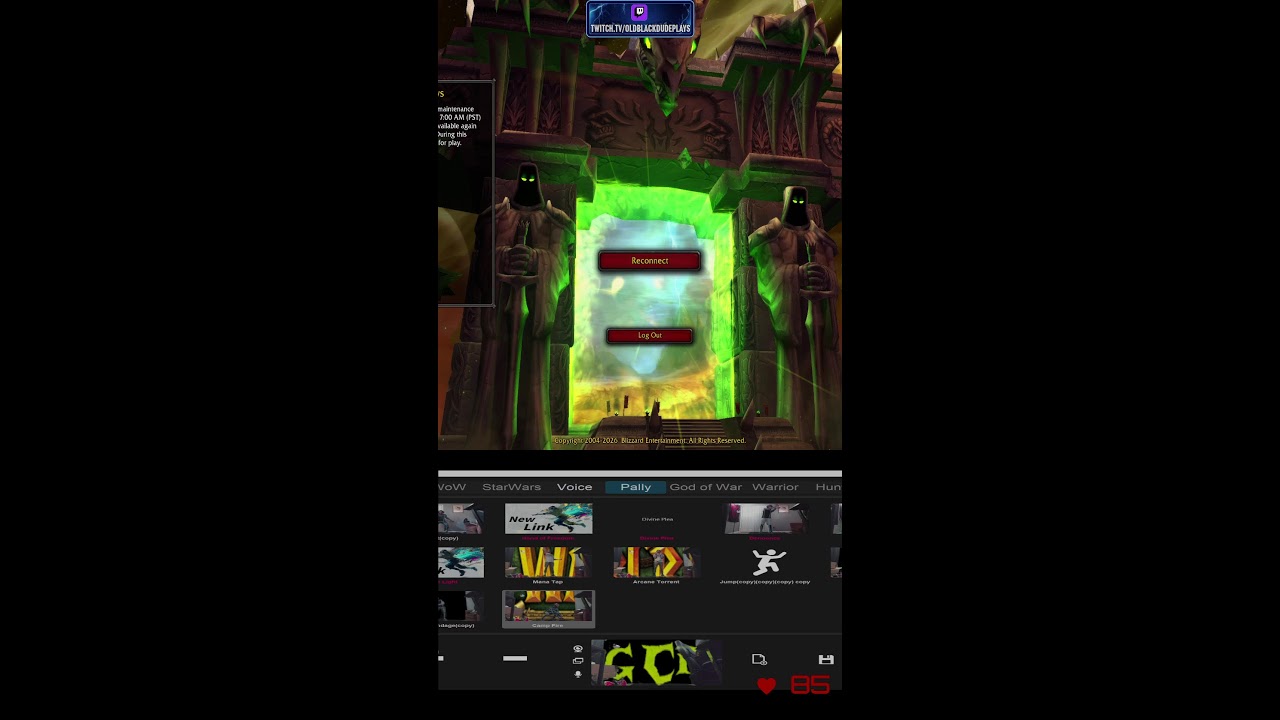 WoW TBC Dreamscythe Level 34 Motion Capture Blood Elf Paladin💨☕💨|