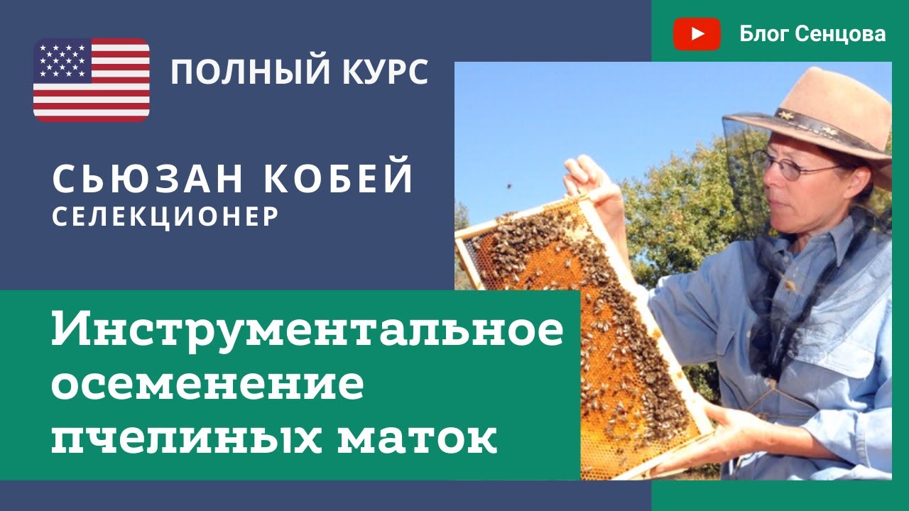 Инструментальное осеменение пчелиных маток со Сьюзан Кобей. Новый ПОЛНЫЙ видеокурс (США)