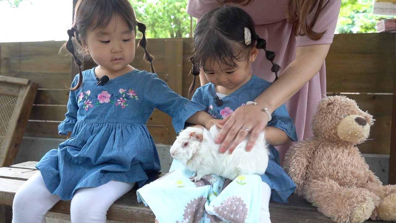 群馬サファリパークに行ってきた！