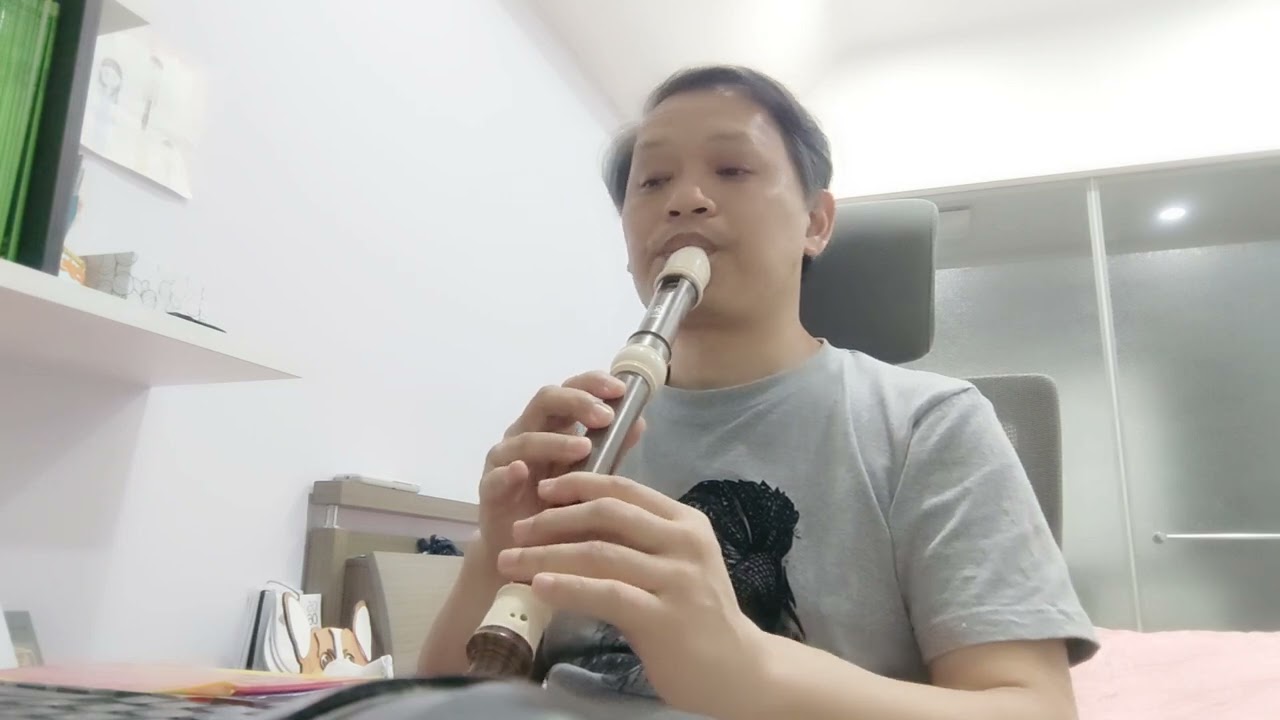 Right Here Waiting (alto recorder cover)