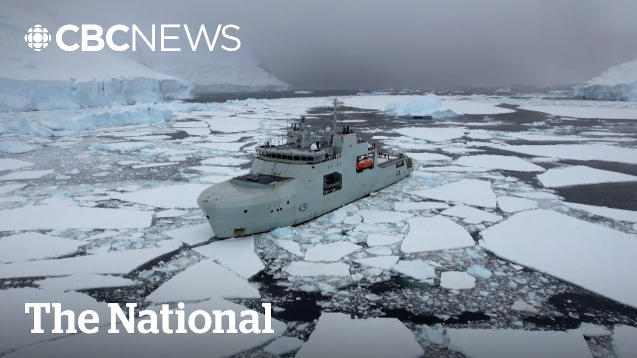 What scientists are looking for in Antarctica's water