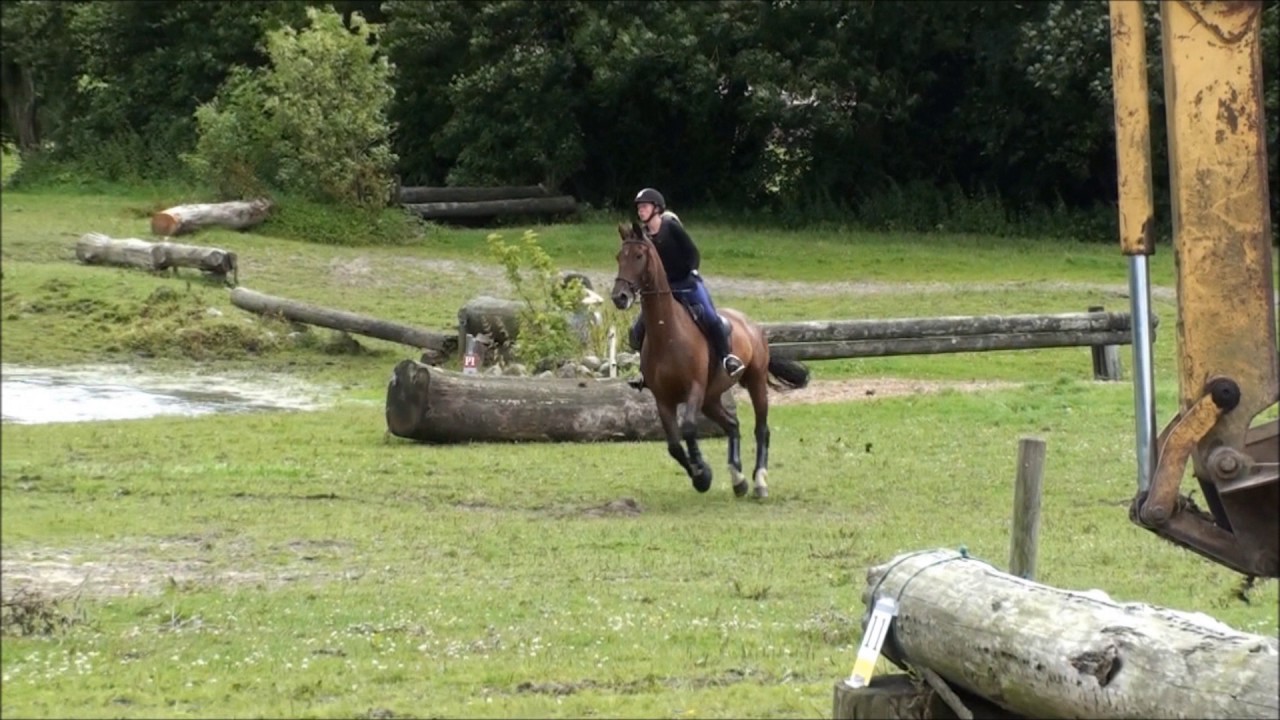 Sønderskov military Miró 2017