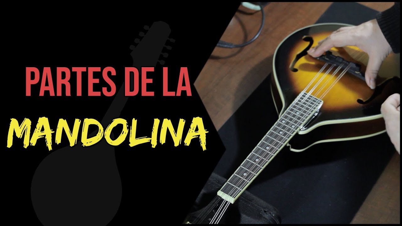 Partes de la mandolina | En Mandolina