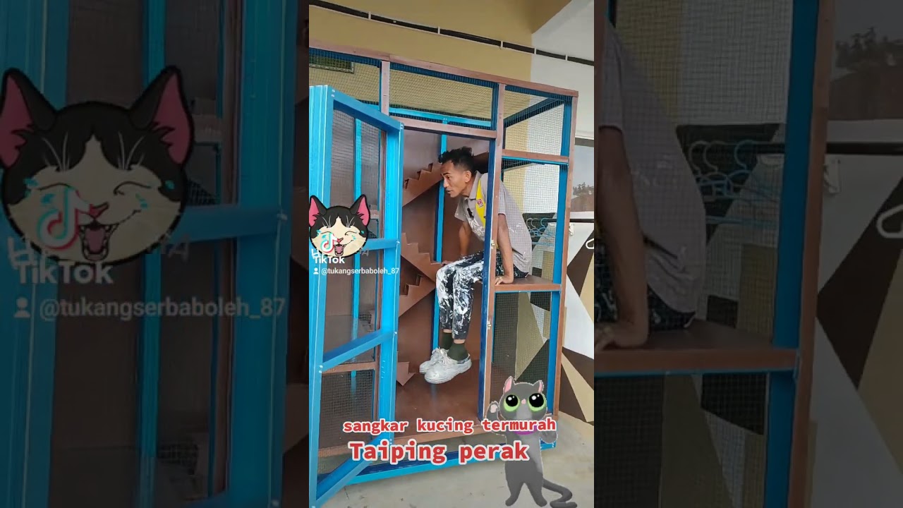 sangkar kucing besi biru
