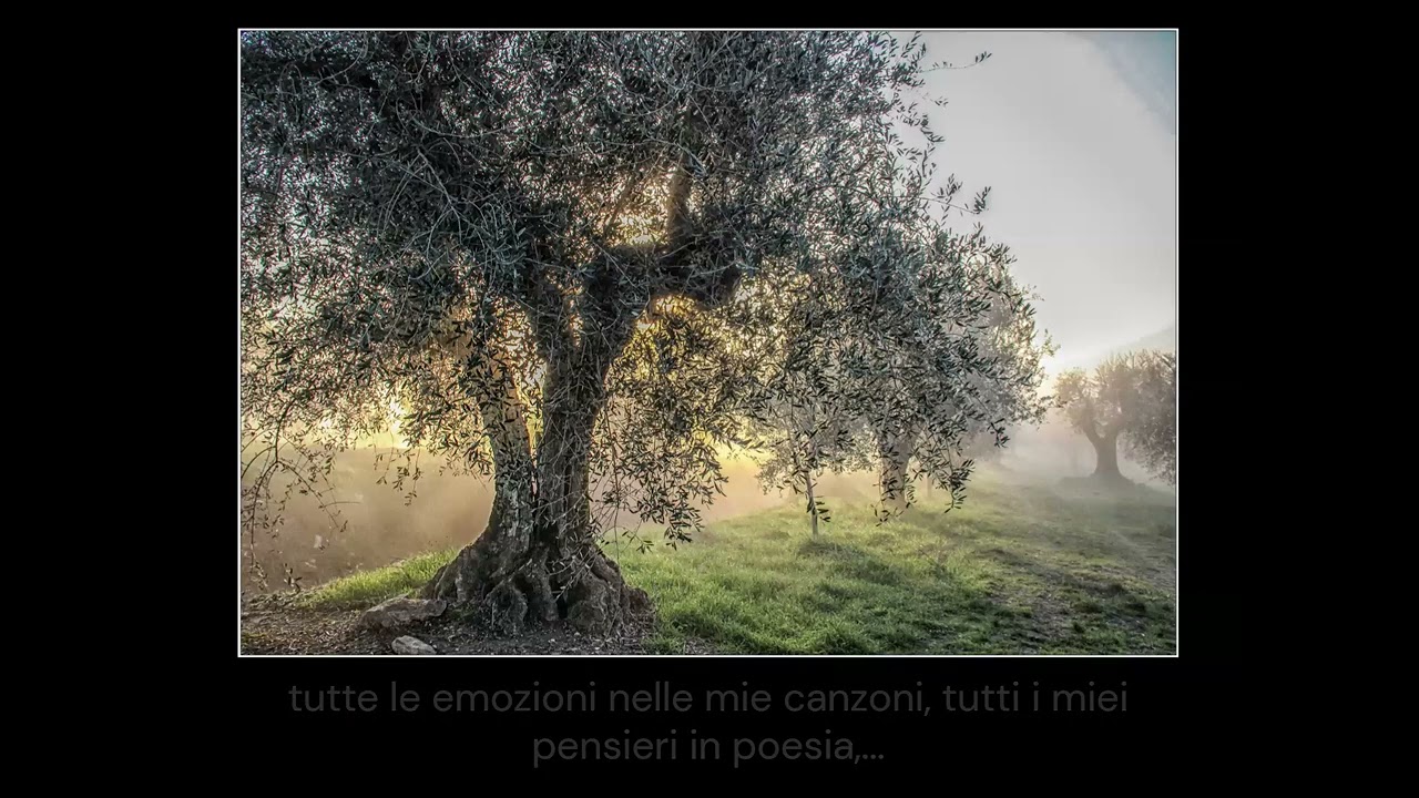 1240 cosa resterà?