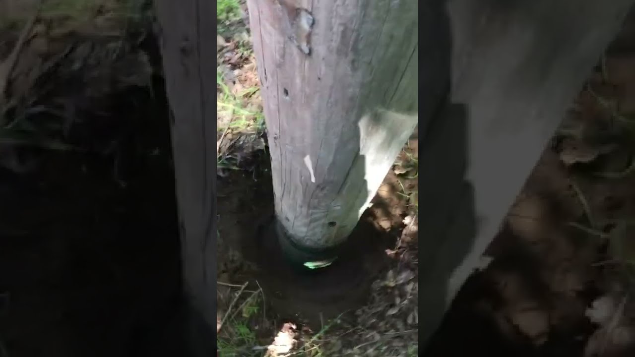 This is the second step of utility pole inspection excavation ￼