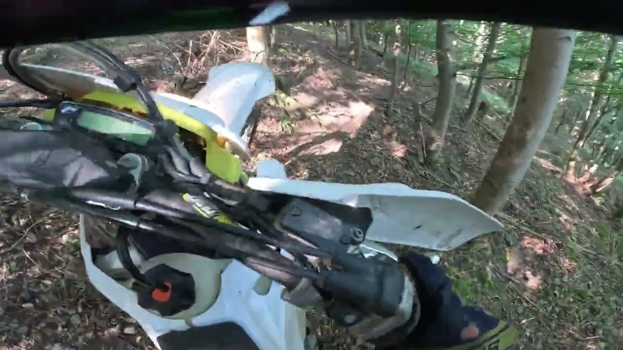 New gopro and Fe 350 in action