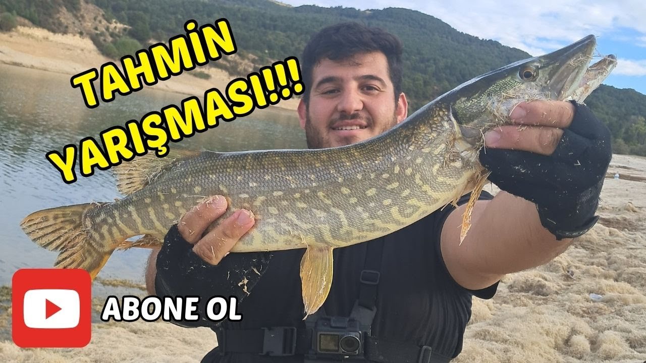 İNCE TAKIMA GELEN SÜRPRİZ TURNA!!! - OLTADAKİ PERCHE SALDIRAN TURNAYI YAKALADIM -