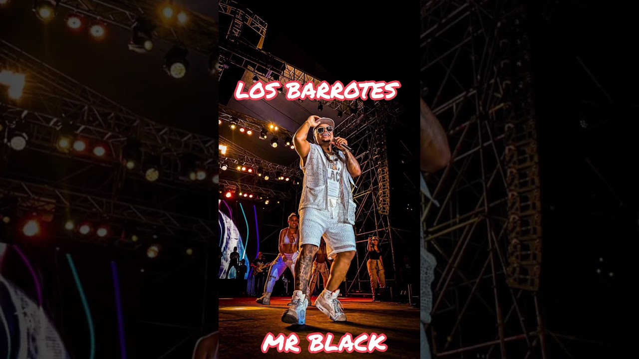 los barrotes MR black (CHULO DE MODA)