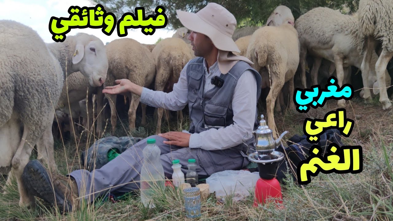 فيلم وثائقي: مغربي راعى الغنم في اسبانيا