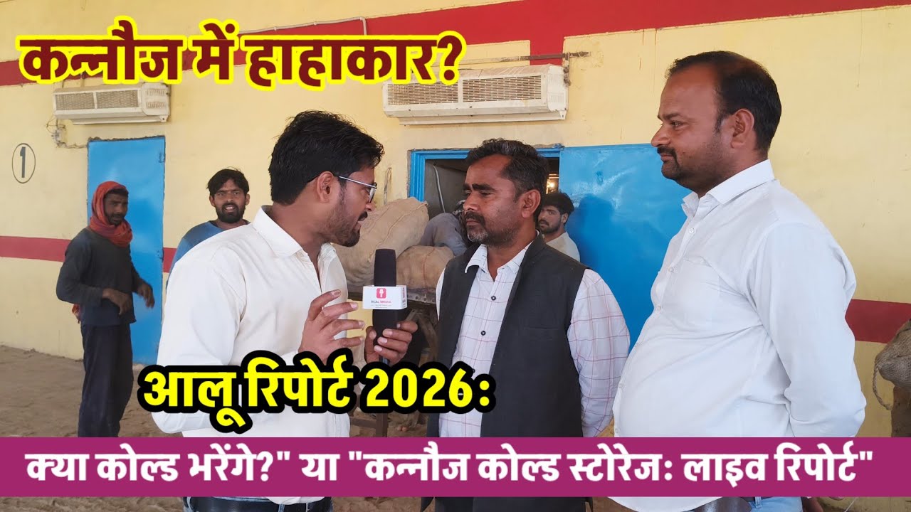 कन्नौज आलू रिपोर्ट 2026: कोल्ड स्टोरेज में आलू की भारी आवक या मंदी? पूरी सच्चाई!