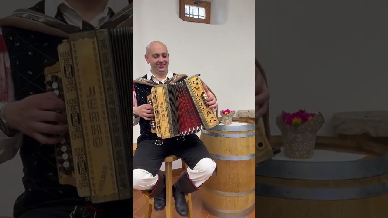 Aleš Trbanc / Žurmajster - Preljuba moja draga (cover)