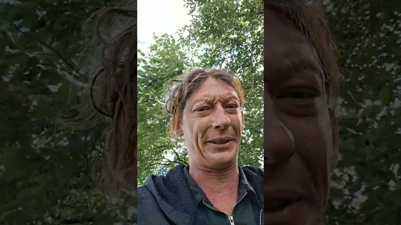 Is reality check live in a nutshell
