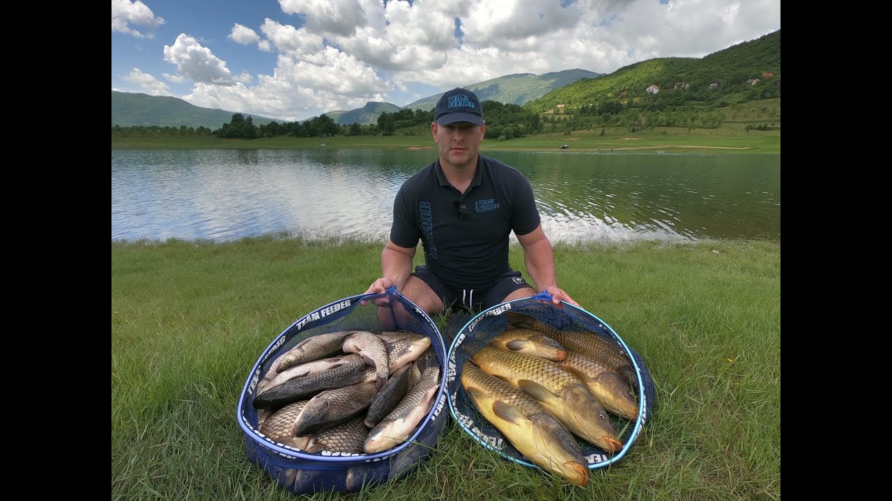 Amir Taletovic - Feeder ribolov - Ramsko jezero