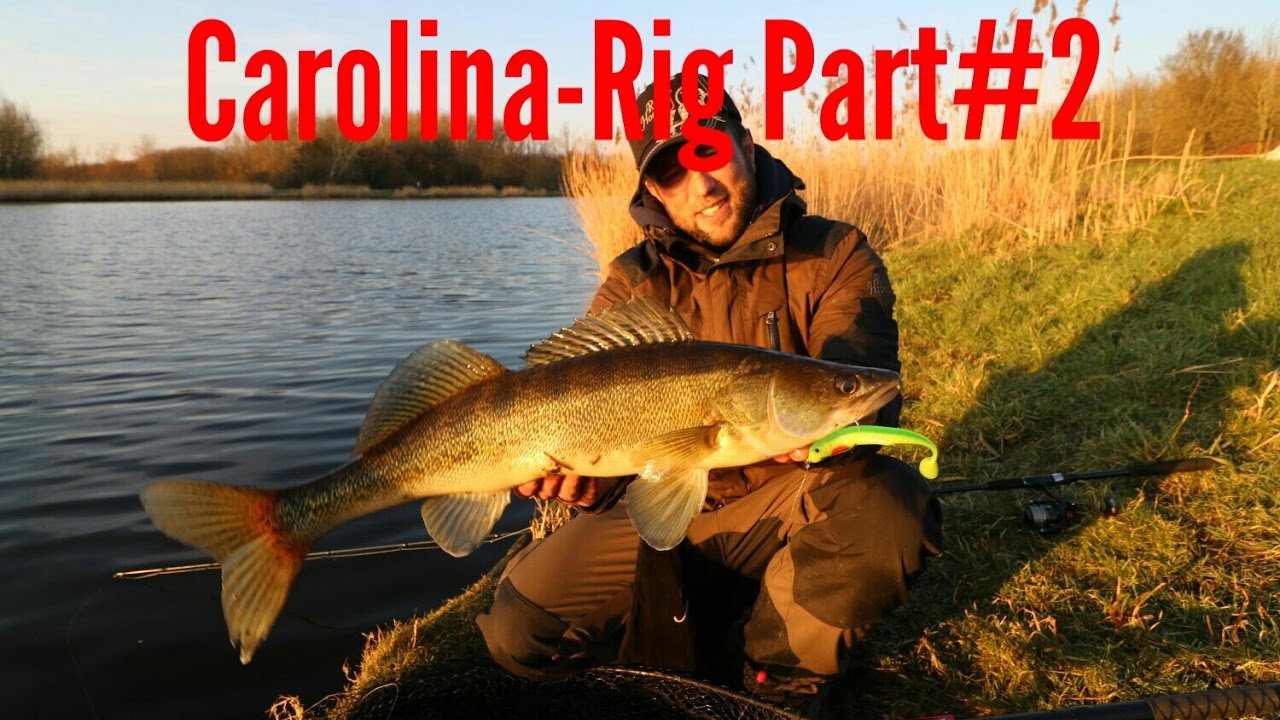 Zanderangeln mit dem Carolina-rig Teil 2   Online Guiding Part#12