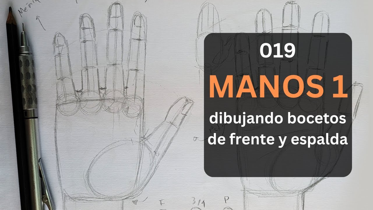 CLASE 19| DIBUJANDO MANOS PARTE 1 | Bocetos básicos, frente y espalda