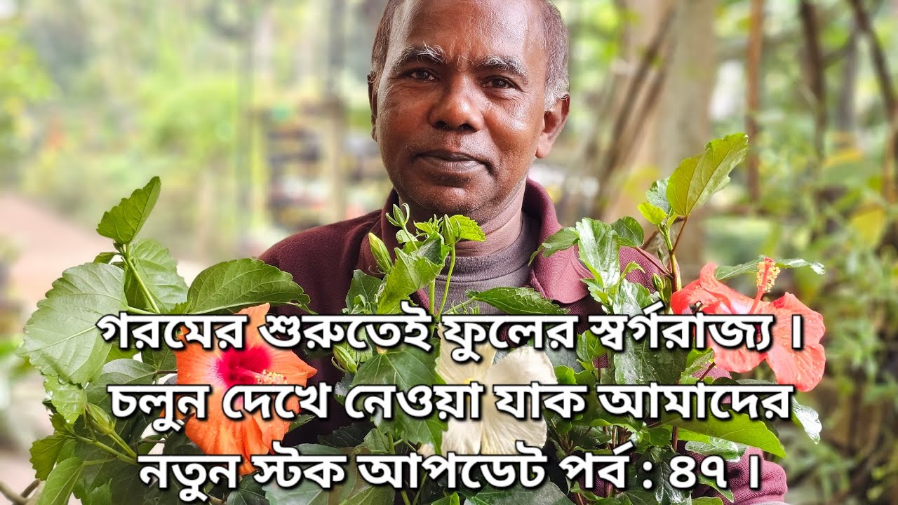 গরমের শুরুতেই ফুলের স্বর্গরাজ্য । চলুন দেখে নেওয়া যাক আমাদের নতুন স্টক আপডেট পর্ব : ৪৭ ।