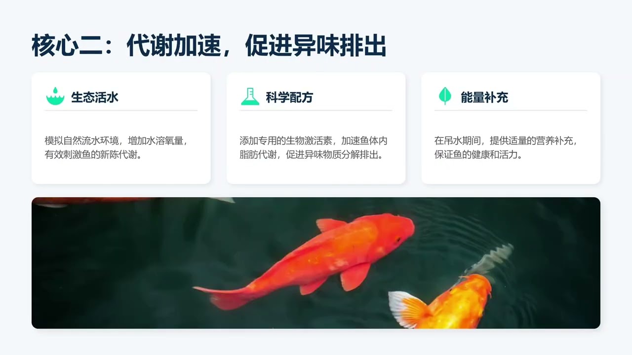 淡水鱼吊水暂养系统，去掉土腥味，提升品质，每斤多卖5块💰