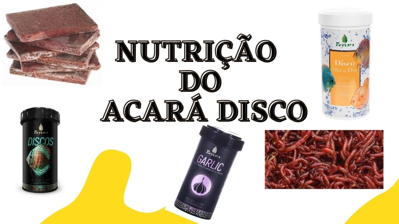 Nutrição do 