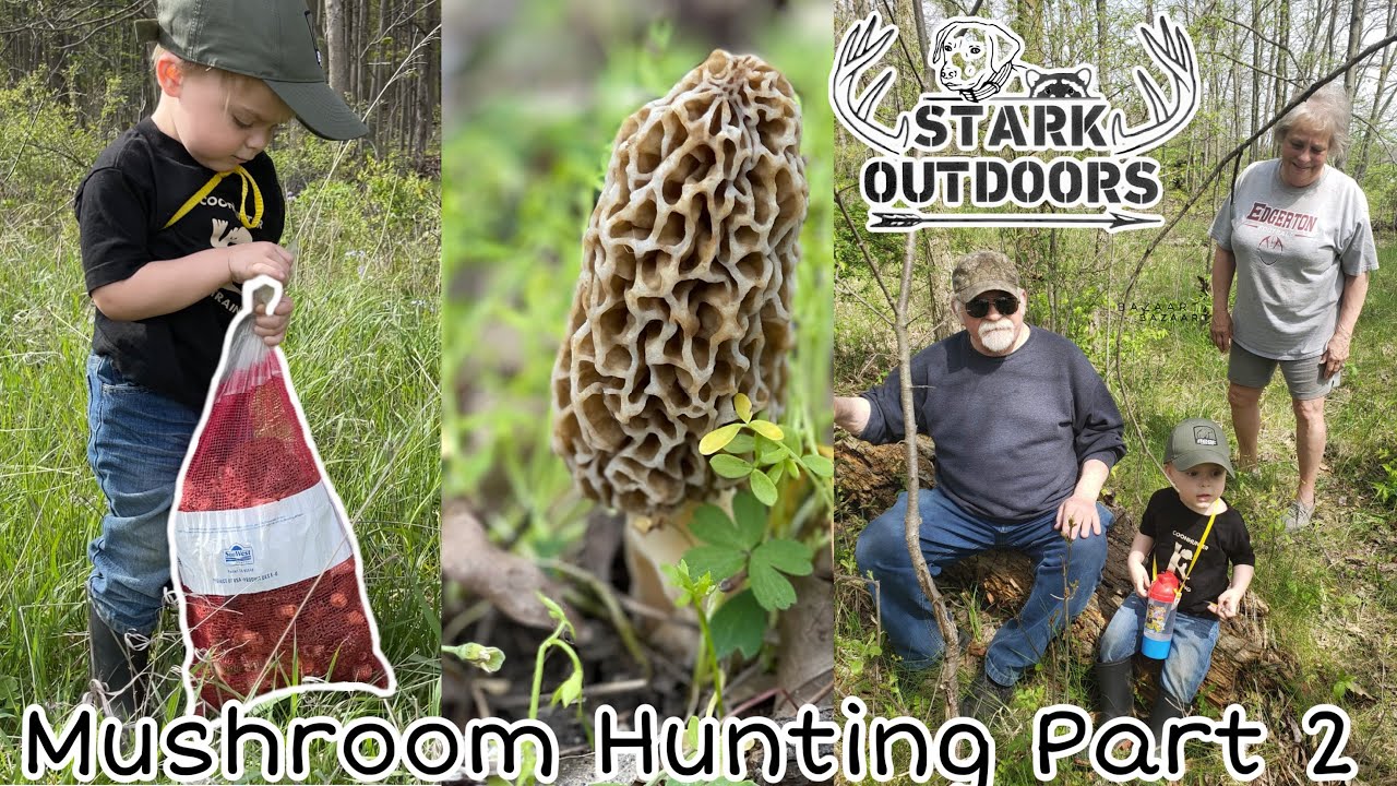 Mushroom Hunting in Ohio 2021 Part 2