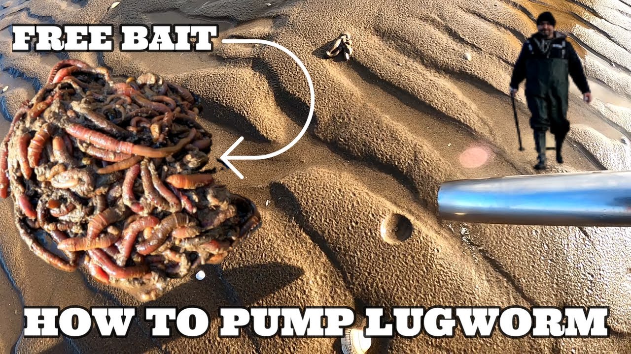 HOW TO PUMP BLOW LUGWORM & COD HUNT ON THE RIVER MERSEY | SEA FISHING UK | MASTERFISHERMAN