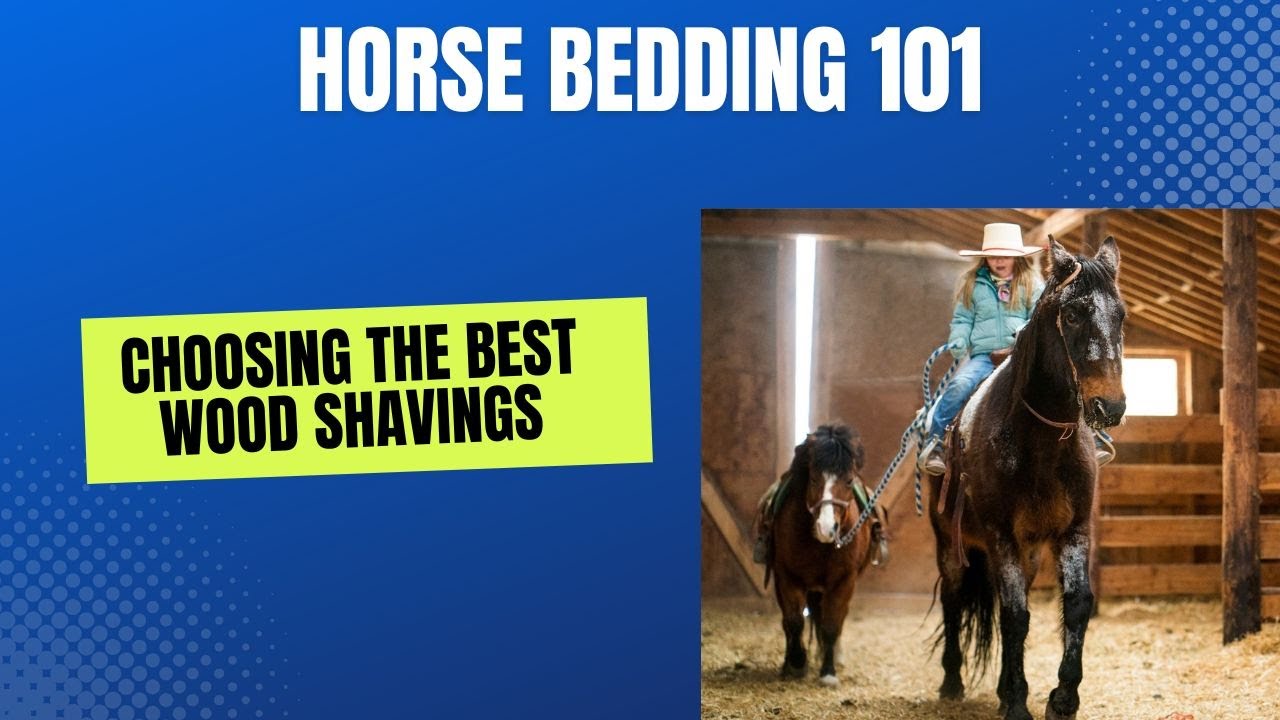 Mastering Horse Bedding: The Essential Guide to Wood Shavings