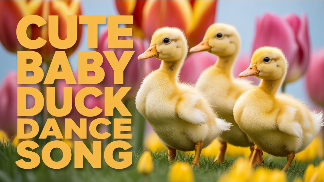 Funny Duck Song for Kids English with Quack Quack and Cute Music