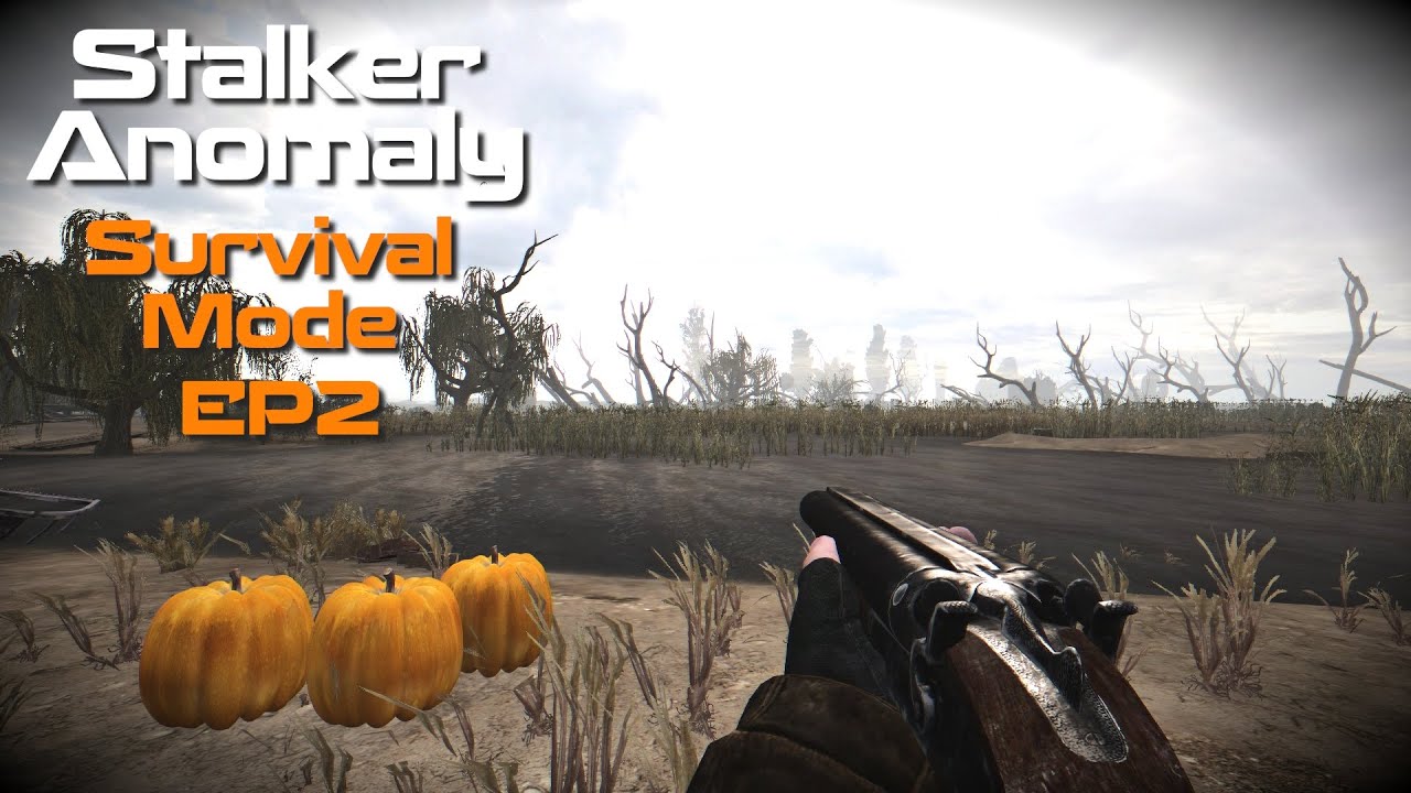 Stalker Anomaly Survival Mode EP2