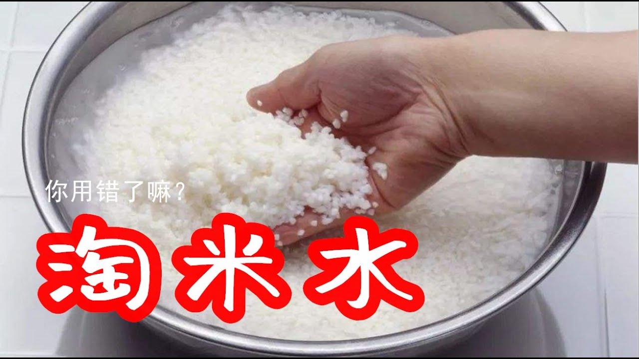 淘米水是好肥料，可你是否用错了？/ 淘米水是好肥料，可你是否用錯了？