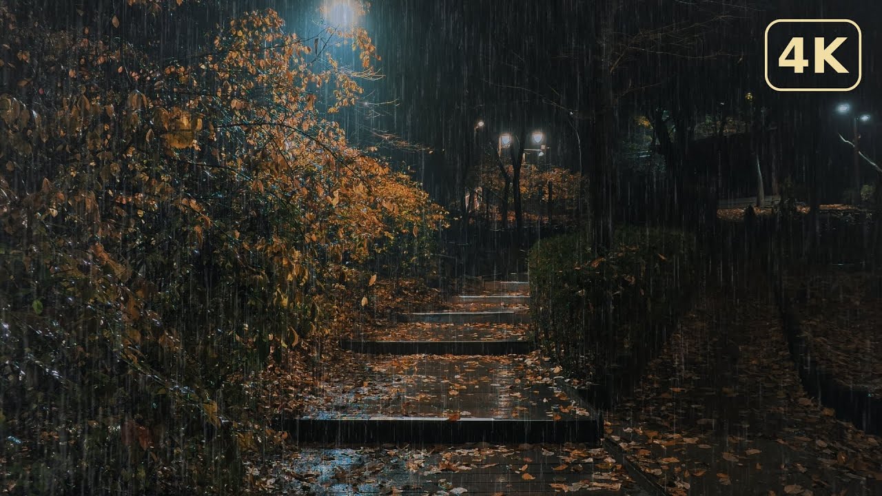 Ночной дождь на осенней аллее в Сеуле 4K: Расслабляющие звуки дождя (10 h)
