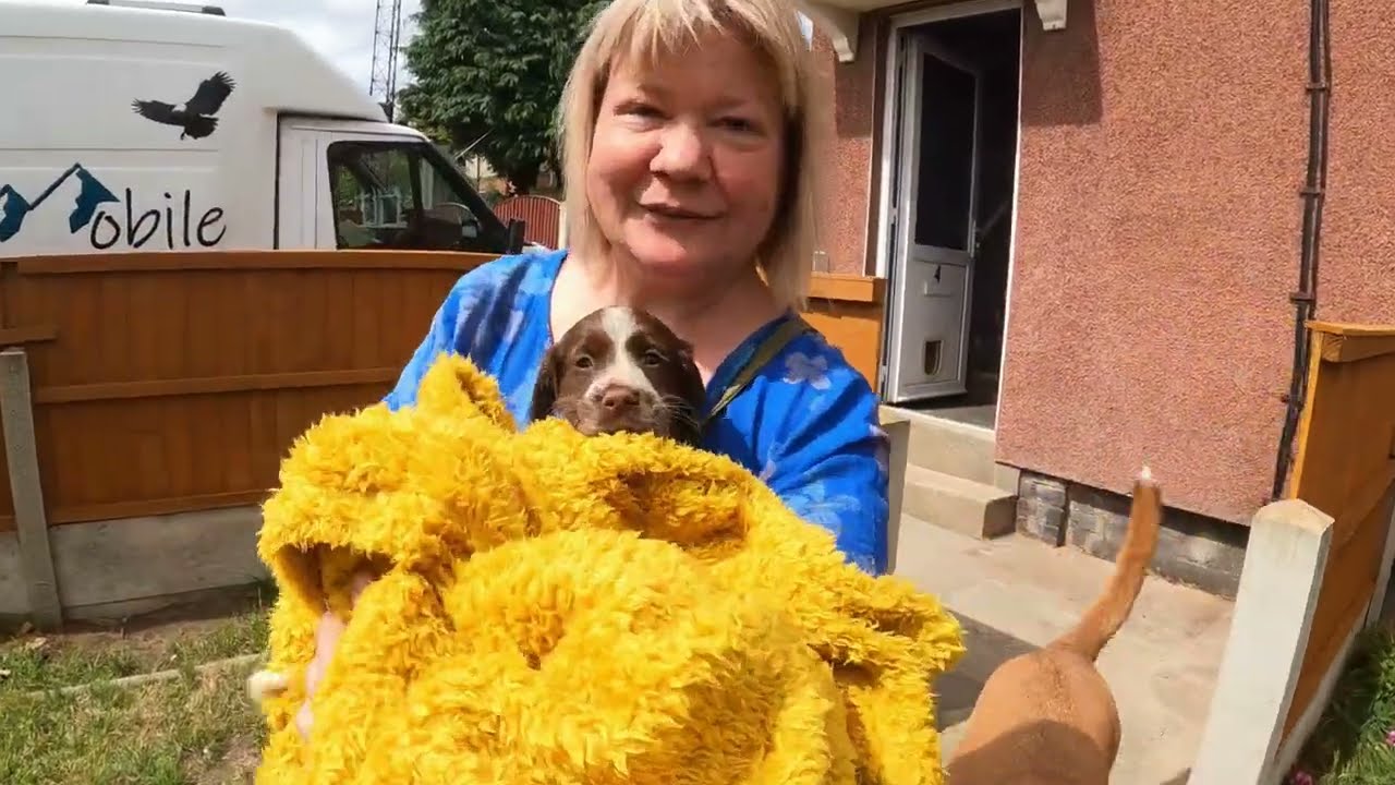 Meet AvA our new family member. 07-08-22
