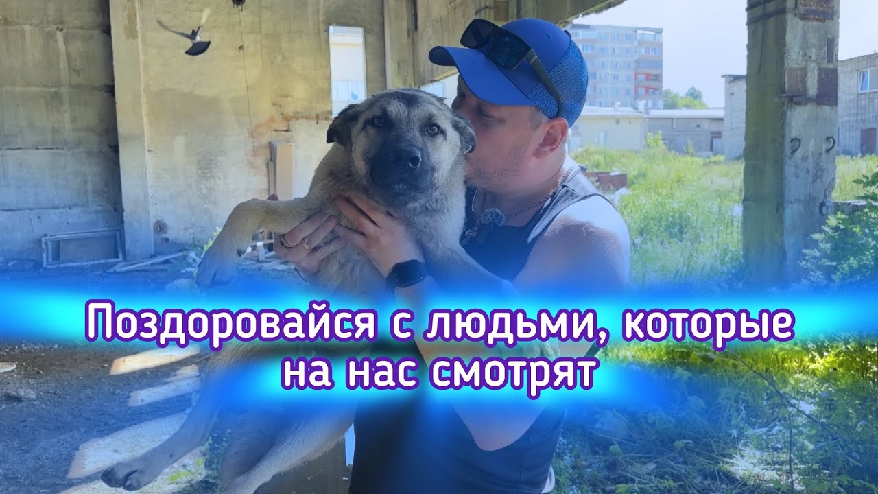Мы не домашние, но нас любят❤️