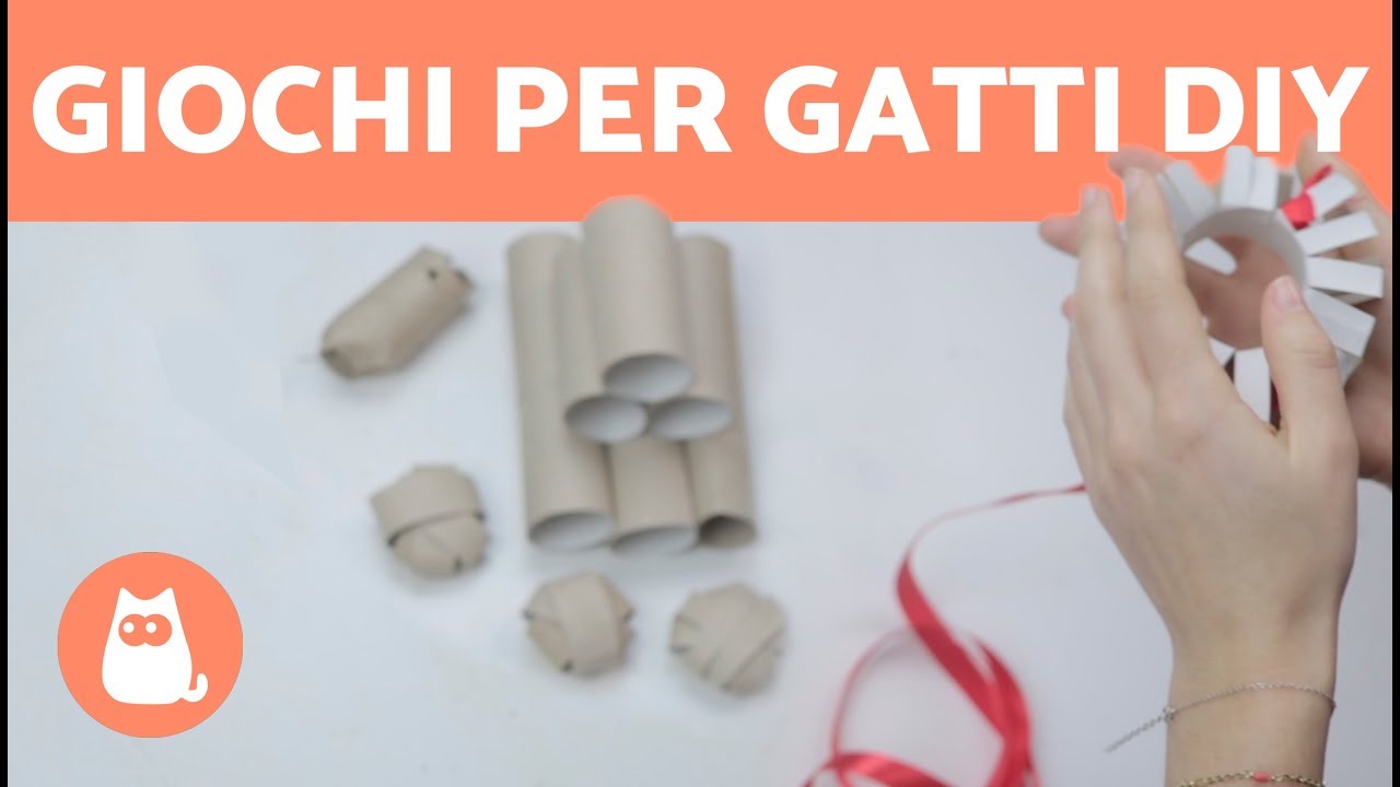 4 GIOCHI per gatti fai da te FACILI! 😻 Riciclo creativo rotoli di carta igienica