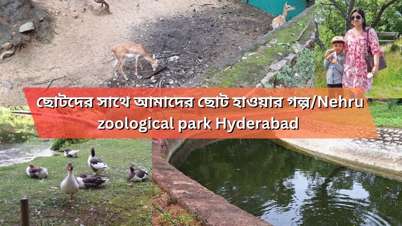 ছোটদের সাথে আমাদের ছোট হাওয়ার গল্প / Nehru zoological park Hyderabad #hyderabad #nehruzoopark